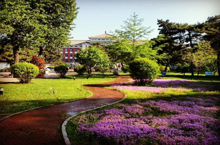 沈阳科大学风景图片