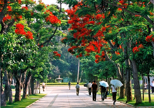 厦门大学校园风光