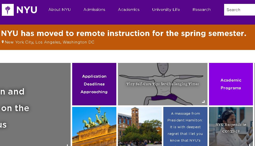 纽约大学New York University