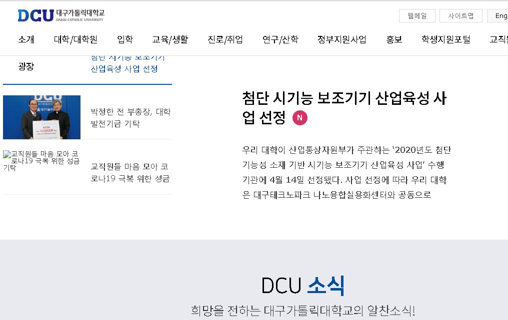 大邱加图立大学대구가톨릭대학교